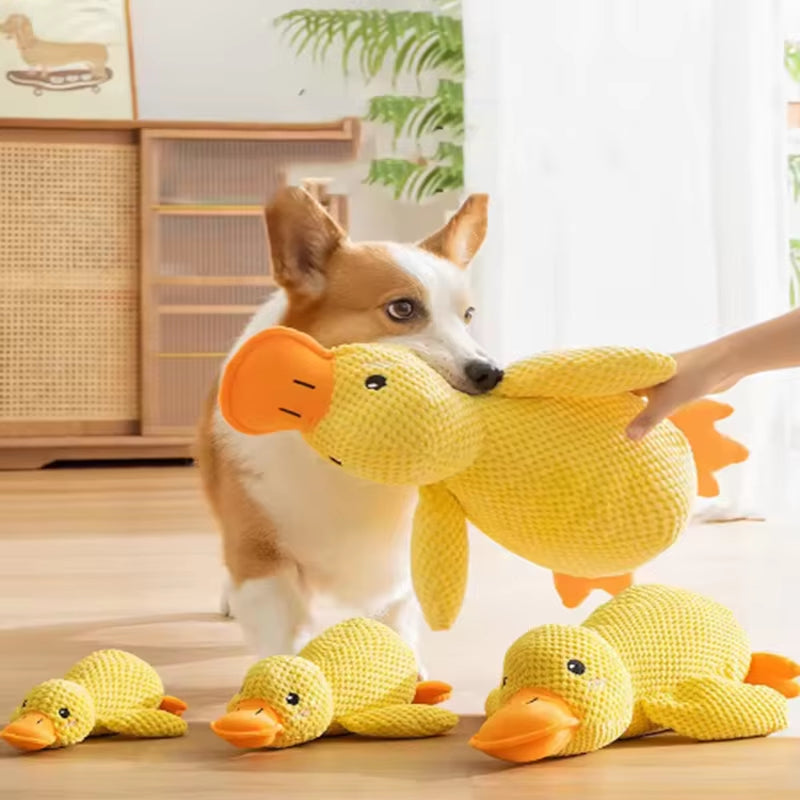 Anti Stress Ente mit Quietscher - Robustes Kauspielzeug für Welpen & Hunde