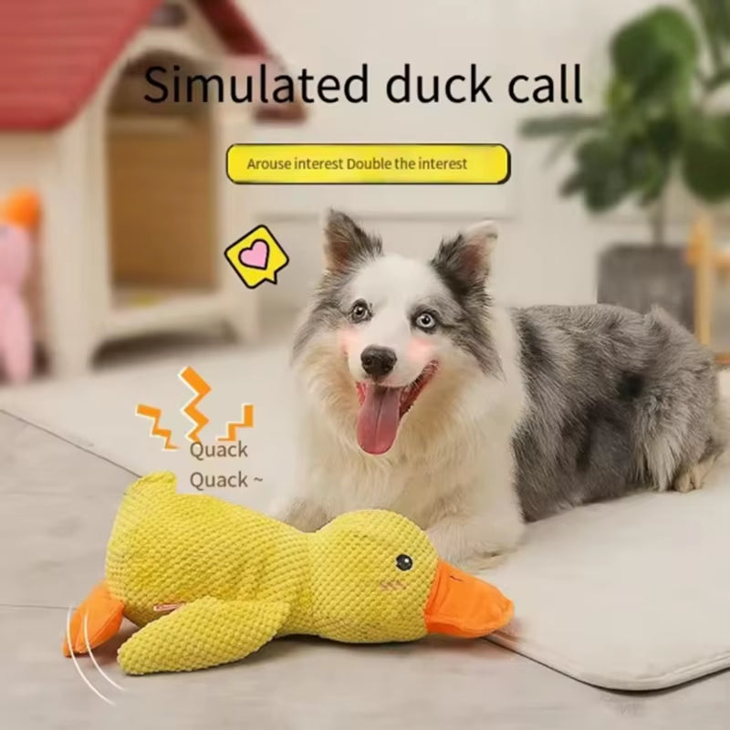 Anti Stress Ente mit Quietscher - Robustes Kauspielzeug für Welpen & Hunde