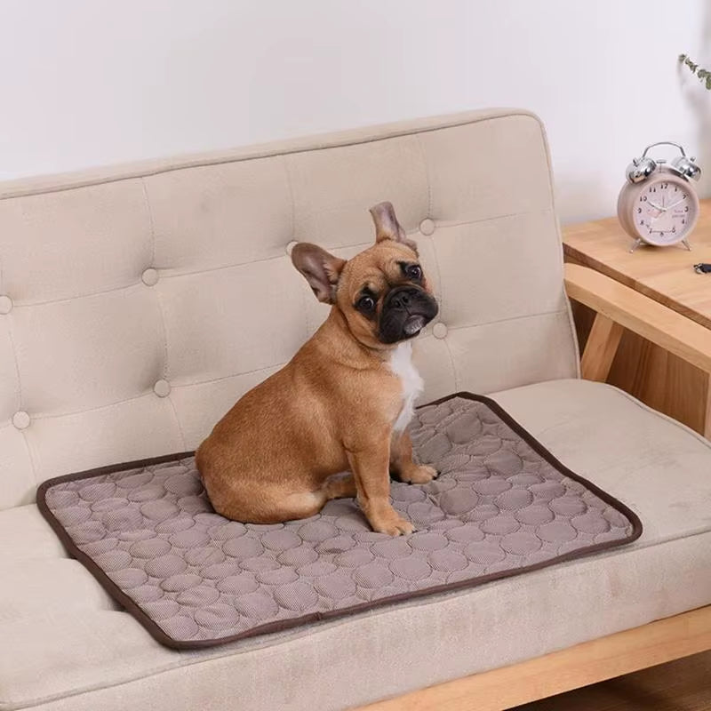 Kühlmatte Hund & Katze Sommer – Atmungsaktive Kühldecke für Sofa, Bett & Auto | Waschbar in 6 Größen | Haustier Sommerunterlage