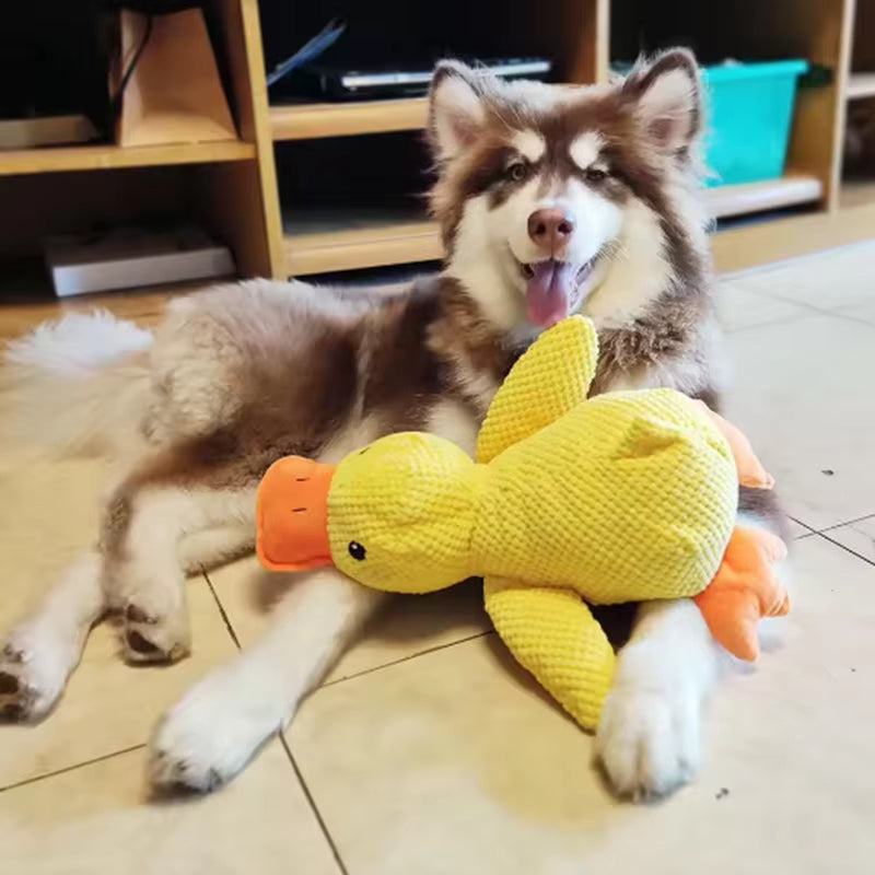 Anti Stress Ente mit Quietscher - Robustes Kauspielzeug für Welpen & Hunde